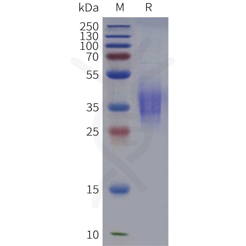 pme101987-cd300a-sp1.png