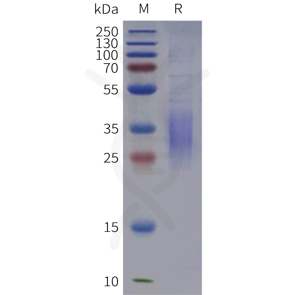 pme101988-cd300a-sp1.png