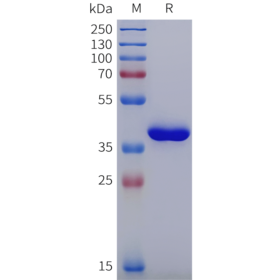 pme101994-brd4-sp1.png