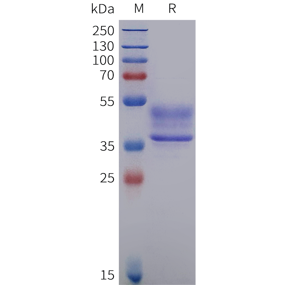 pme102000-cd7-sp1.png