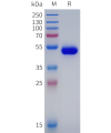 sp-pme102011 tslp sp1