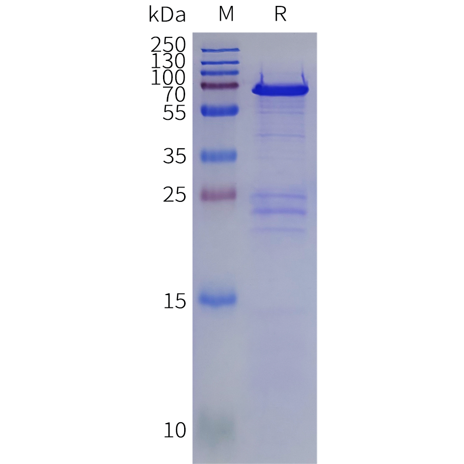 pme102023-gus-sp1.png