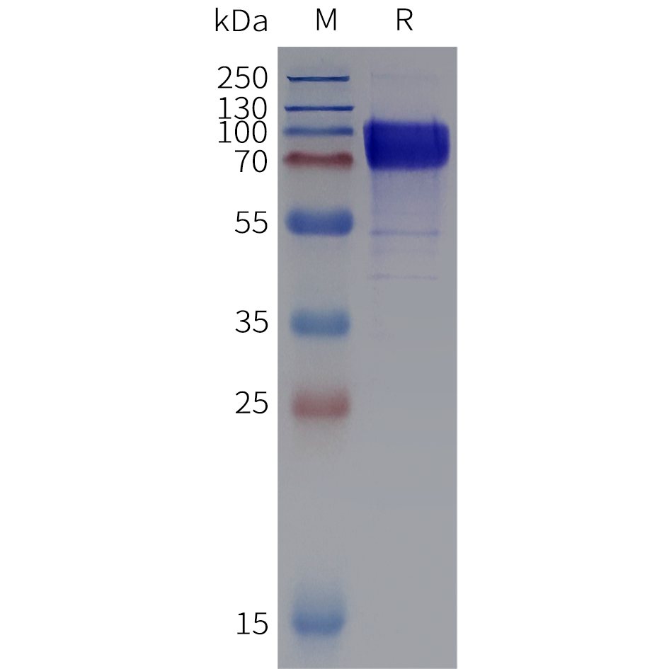 pme102029-st2-sp1.png