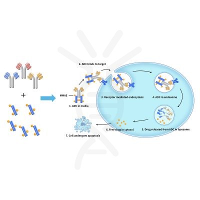 reagents-ame100003 1
