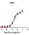 reagents-ame100005 reagent2