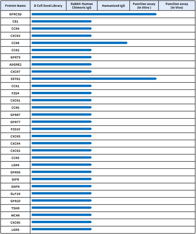 the progress of DIMA BIOTECH's IgG sequence targeting GPCR targets