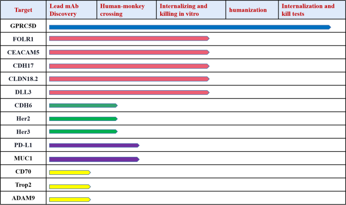 DIMA’s progress in popular ADC target projects